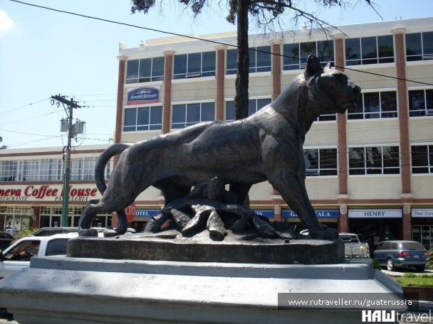 photo 776517