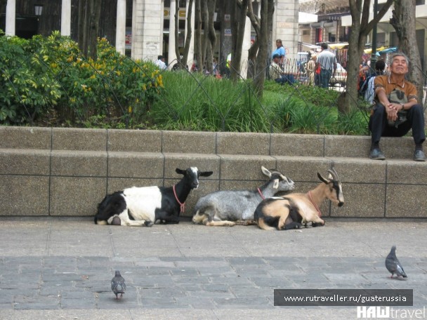 photo 776525