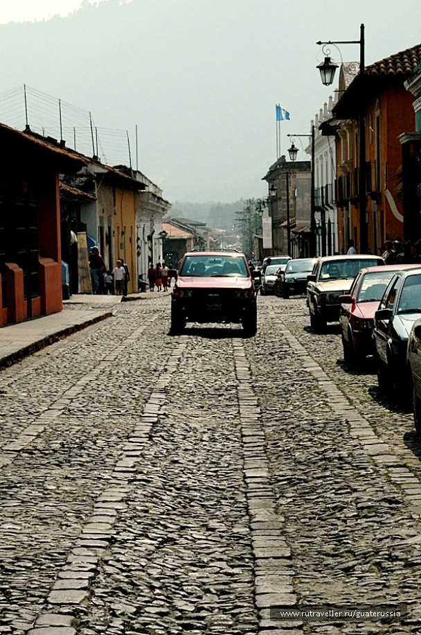 photo 776559