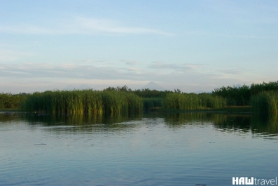 photo 776579