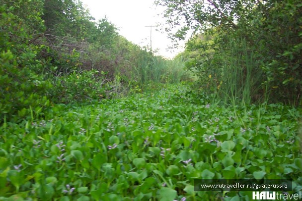 photo 776580