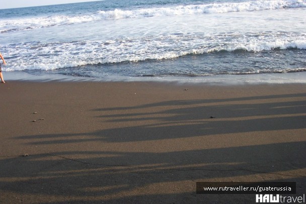 photo 776582