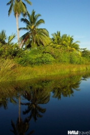 photo 776588