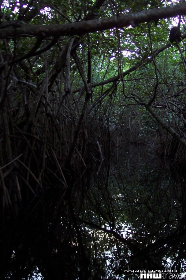 photo 776589