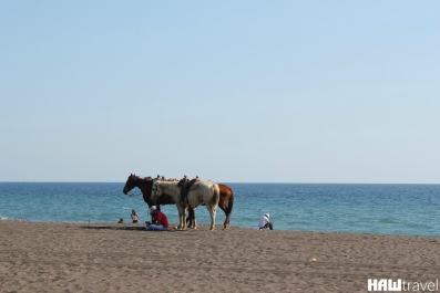 photo 776593