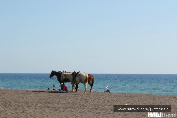 photo 776593