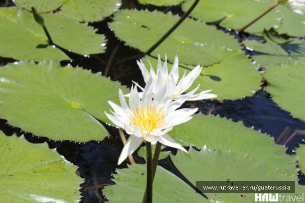 photo 776611
