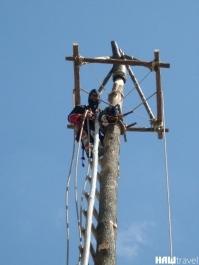 photo 776621