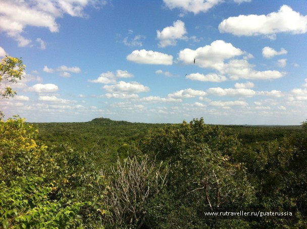 photo 776670
