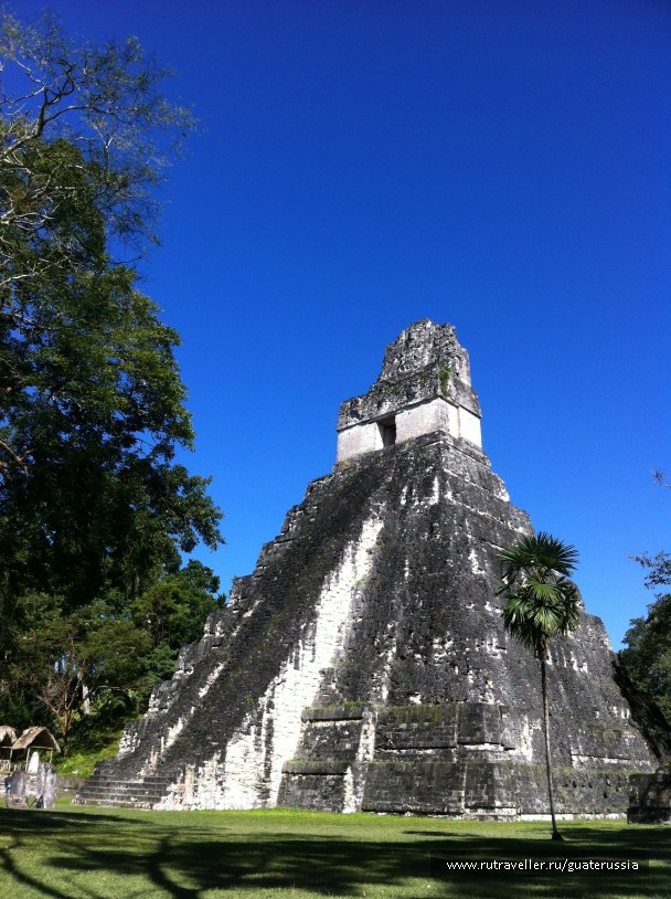 photo 776672