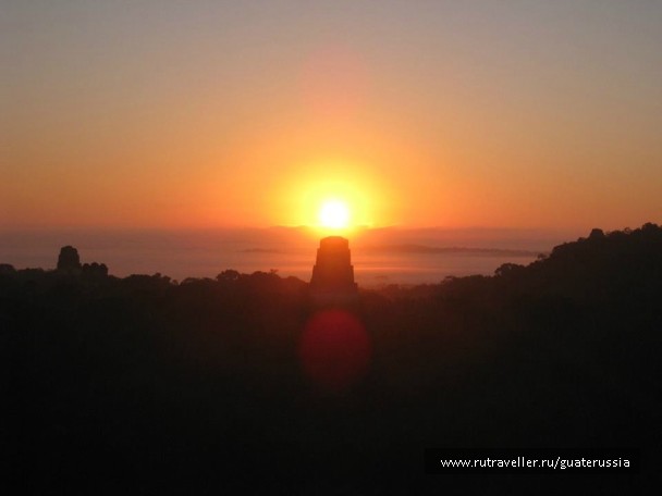 photo 776674
