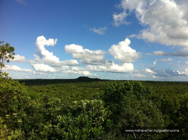 photo 776675
