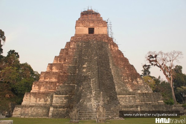photo 776677