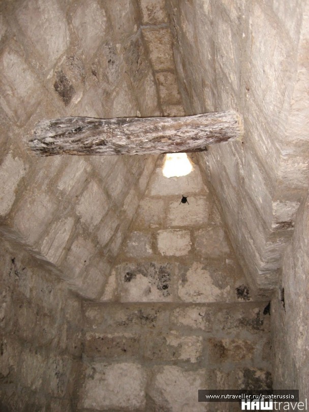 photo 776686