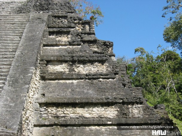 photo 776687