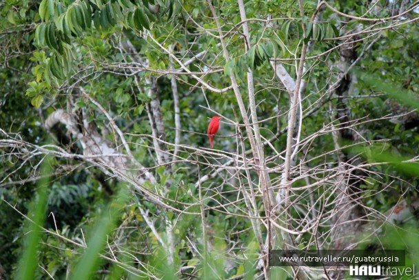 photo 776795