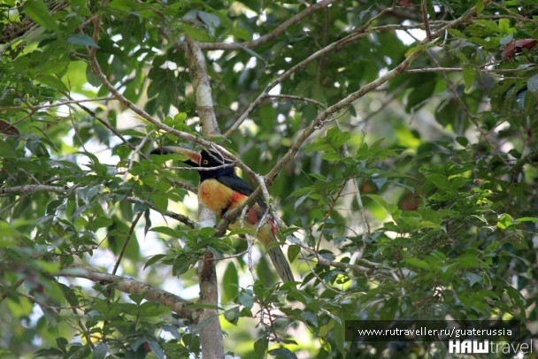 photo 776800