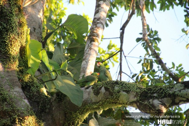 photo 776826