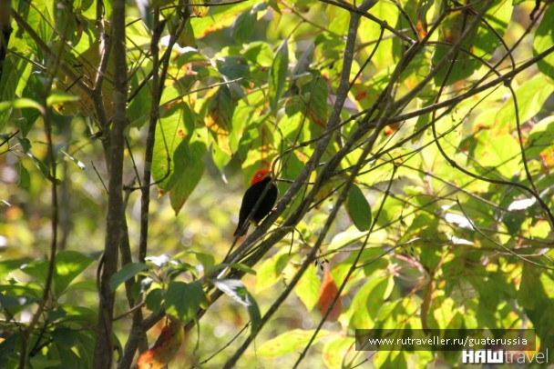 photo 776829