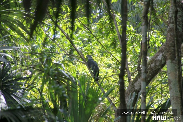 photo 776831