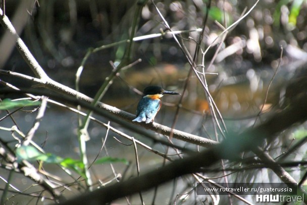 photo 776836
