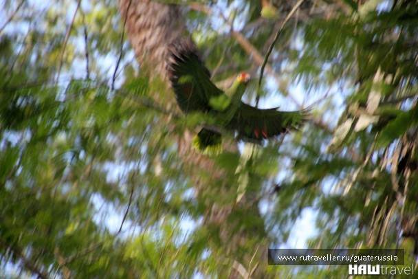 photo 776838