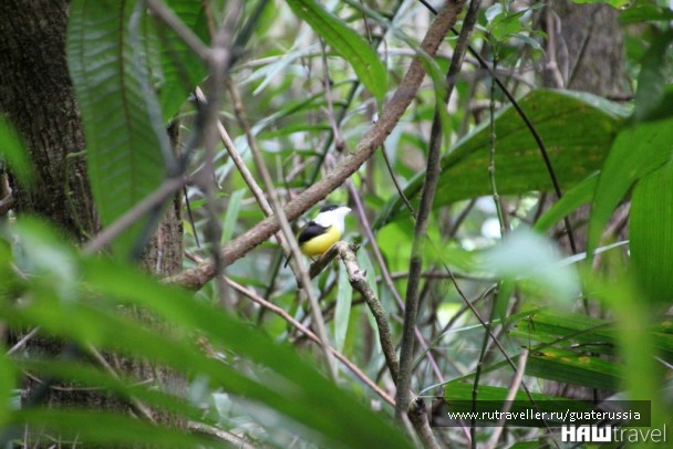 photo 776841