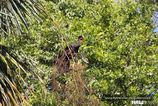 photo 776847