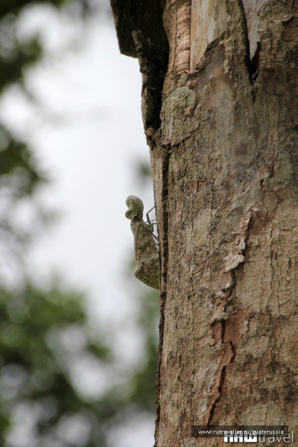 photo 776857