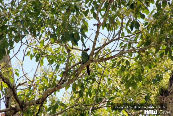 photo 776860