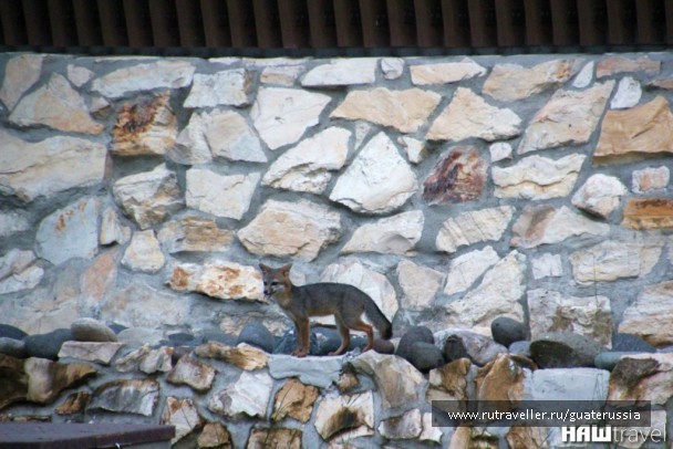 photo 776862