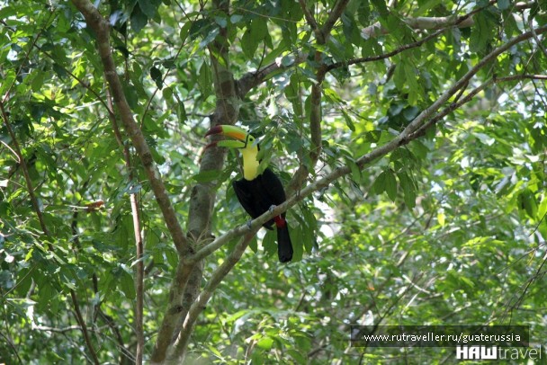 photo 776865