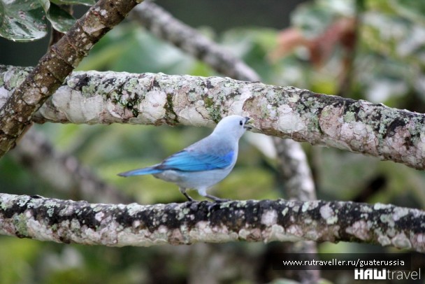 photo 776872