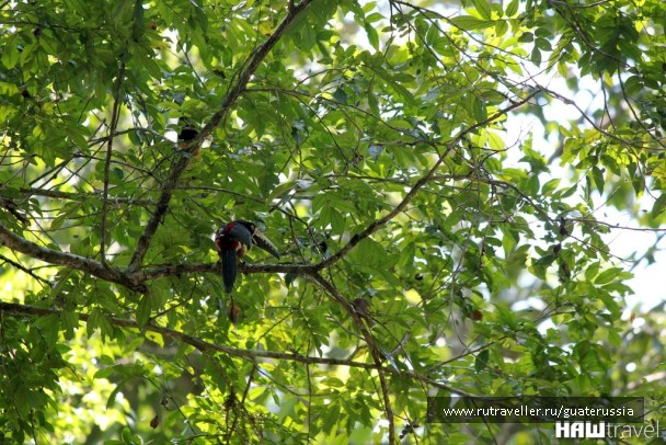 photo 776877