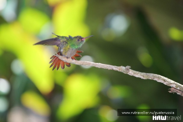 photo 776880