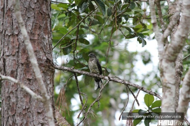 photo 776883