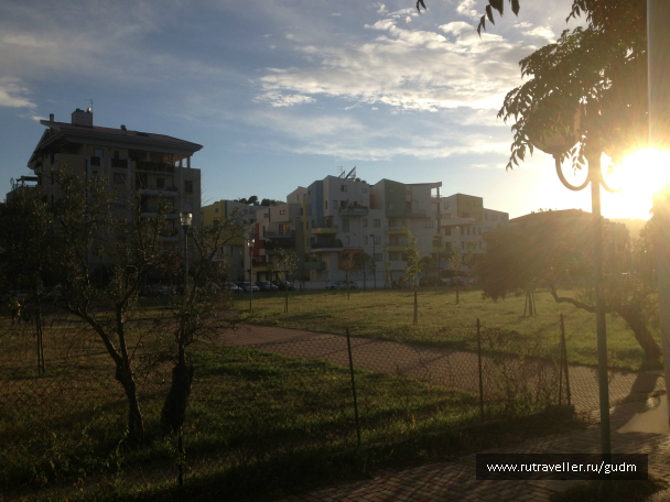photo 991435