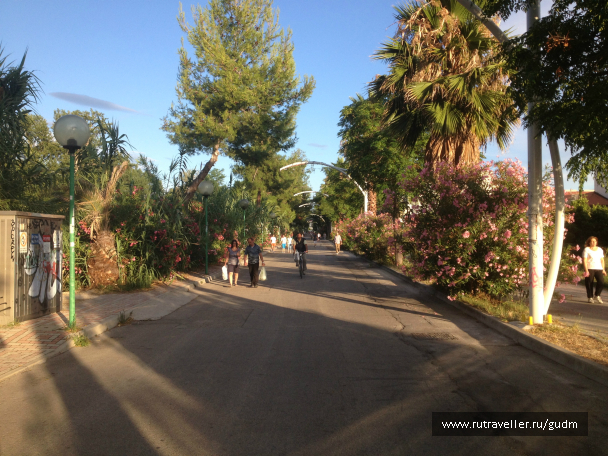 photo 991436