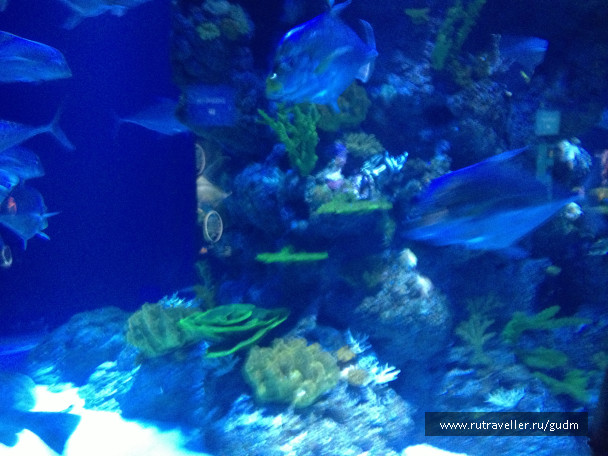 photo 991493