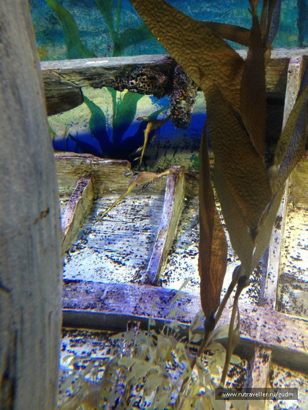 photo 991494