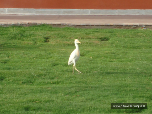 photo 89774