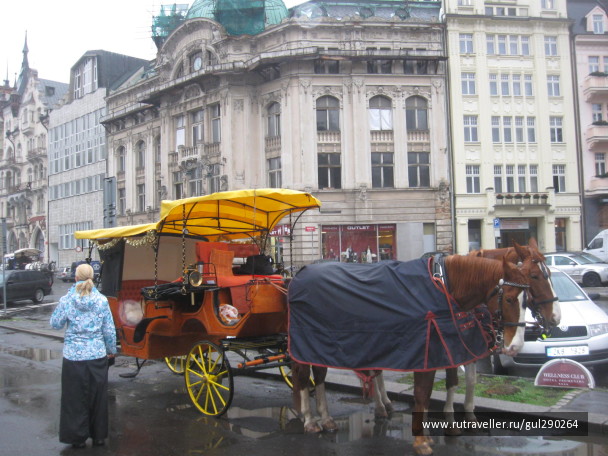 photo 1110406