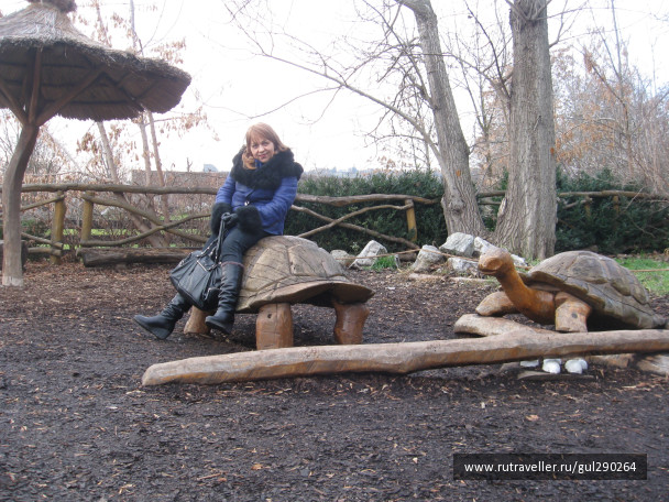 photo 1110409