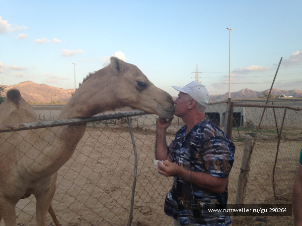 photo 1110564