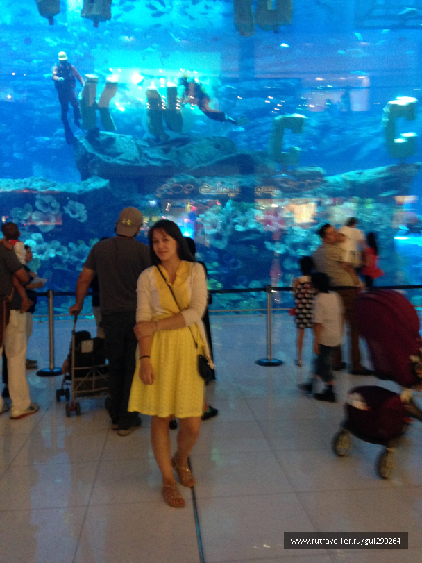 photo 1110569