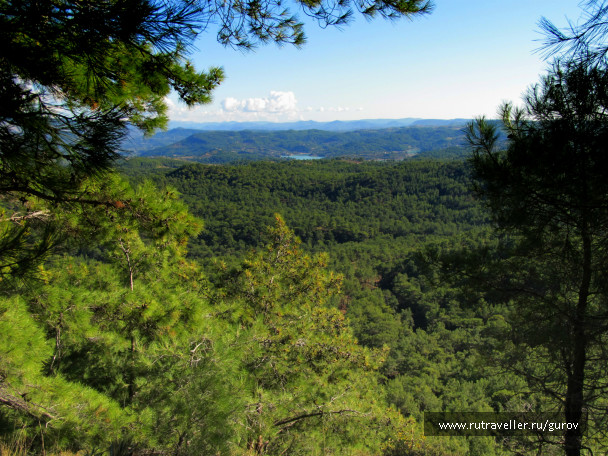 photo 233542