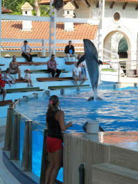 photo 237157