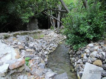 photo 244794