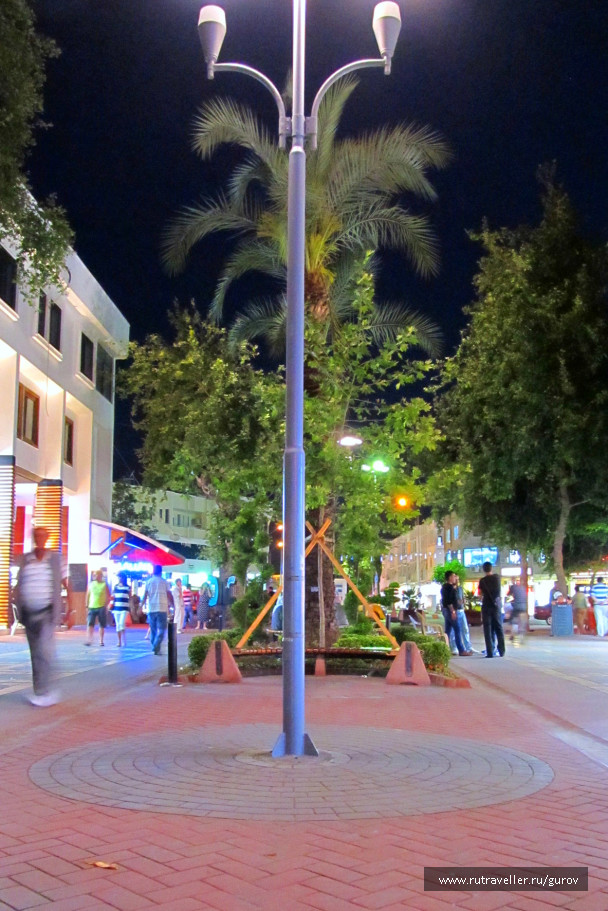 photo 308339