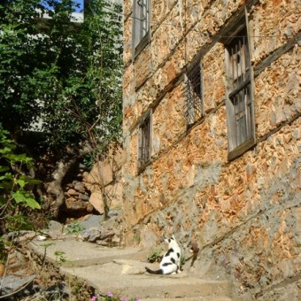 Alanya